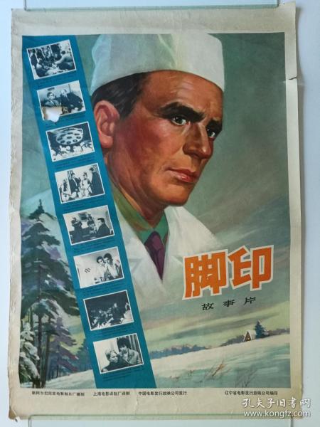新潟医福祉大学经济学文凭证书